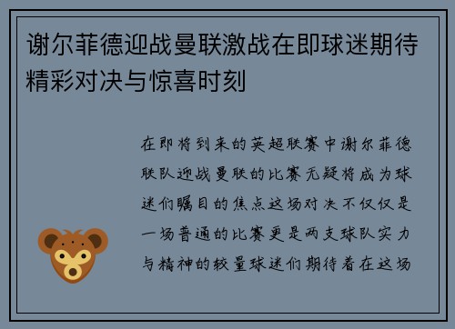 谢尔菲德迎战曼联激战在即球迷期待精彩对决与惊喜时刻