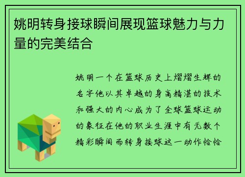 姚明转身接球瞬间展现篮球魅力与力量的完美结合