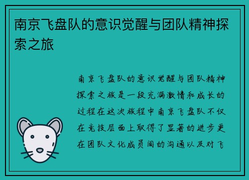 南京飞盘队的意识觉醒与团队精神探索之旅