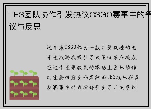 TES团队协作引发热议CSGO赛事中的争议与反思