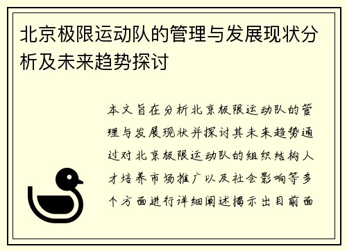北京极限运动队的管理与发展现状分析及未来趋势探讨